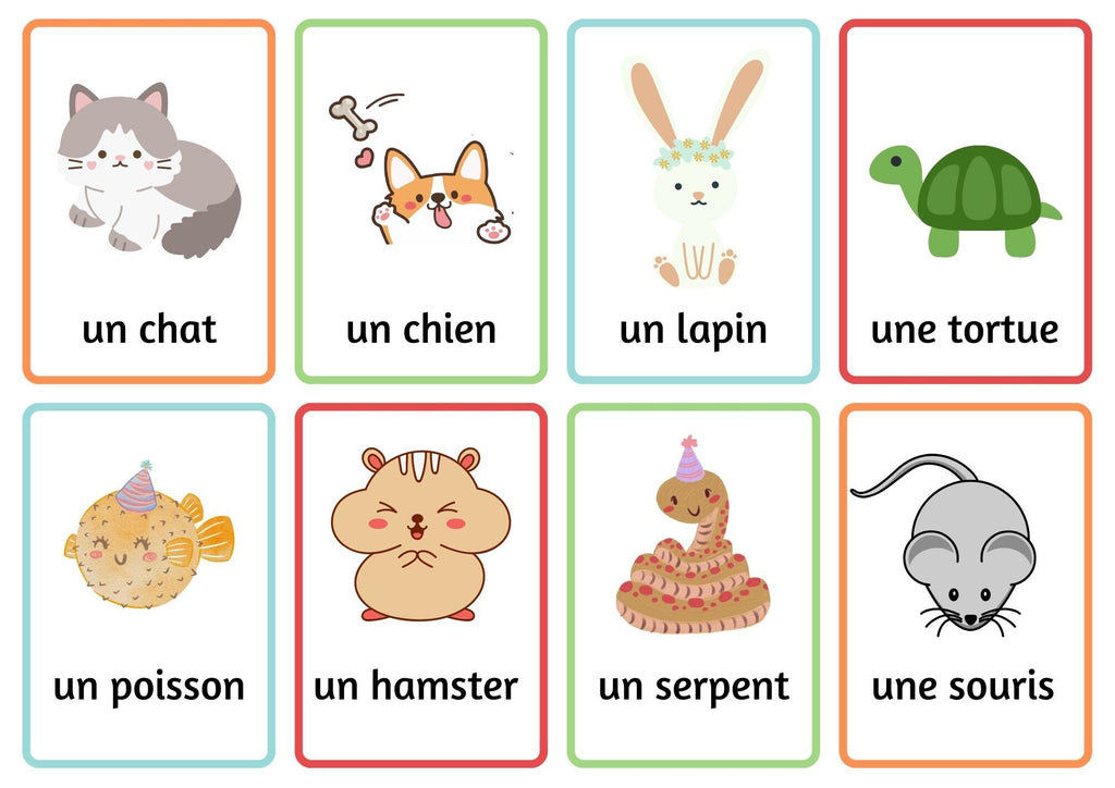 French Beginners' Printable Flashcards Bundle