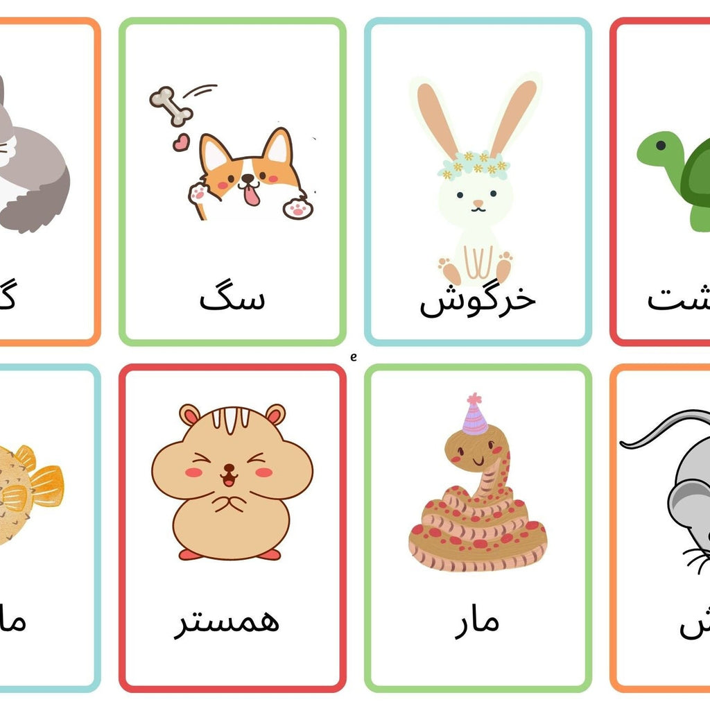 FARSI beginners display bundle mini poster flashcards