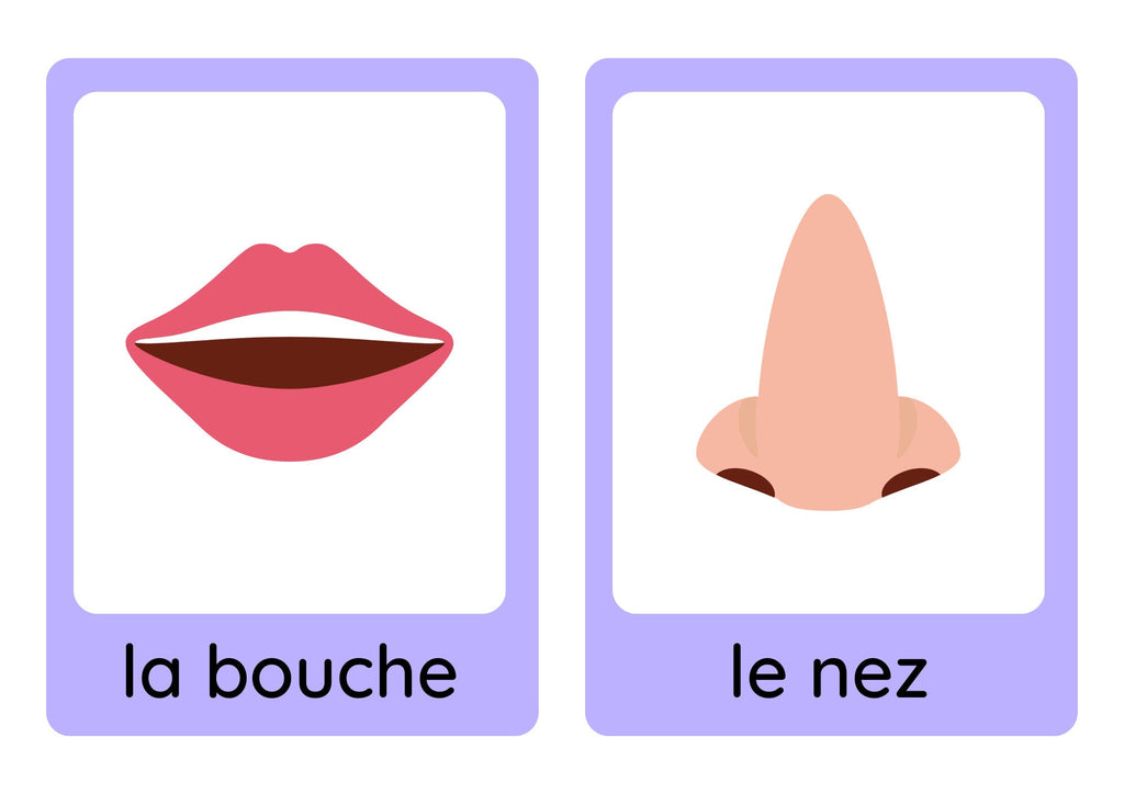 French young learners' clothes, weather and body parts flashcard bundle