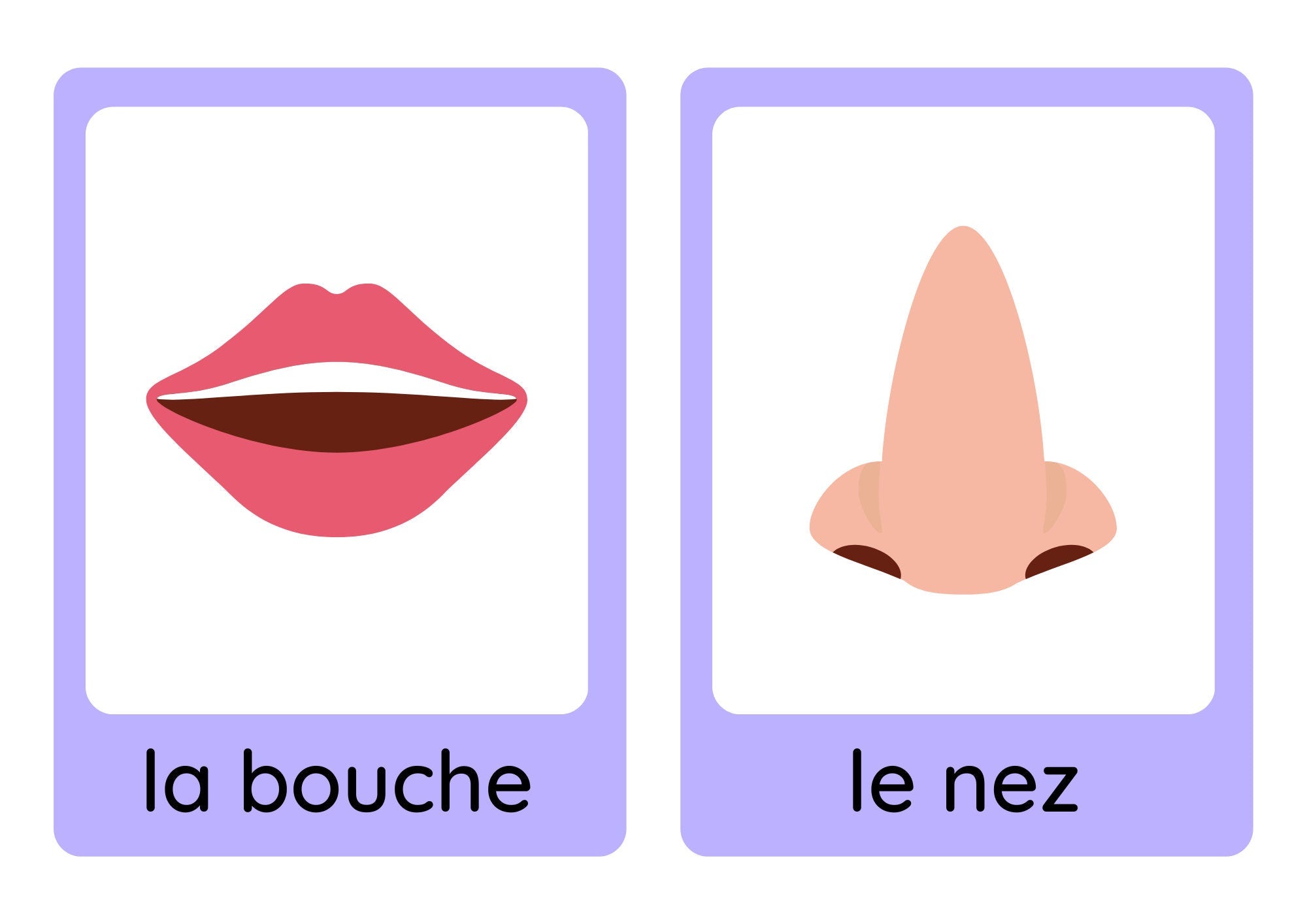 French young learners' clothes, weather and body parts flashcard bundle