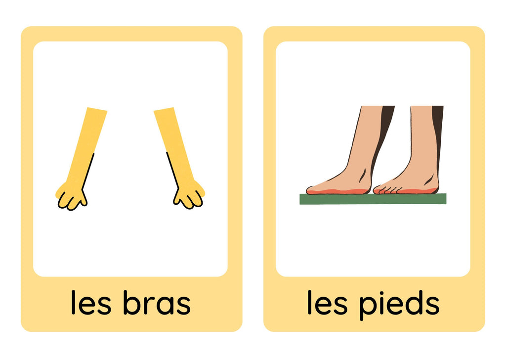French young learners' clothes, weather and body parts flashcard bundle