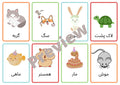 Farsi Pets Flashcards