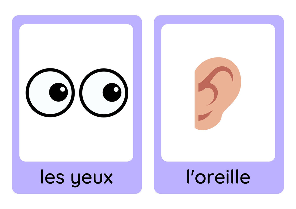 French young learners' clothes, weather and body parts flashcard bundle