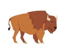 Polish Numbers Brightly Coloured Poster Kids Room Decor