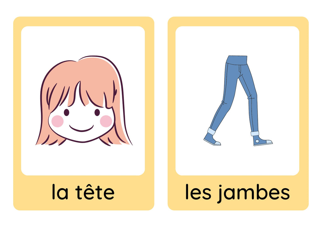 French young learners' clothes, weather and body parts flashcard bundle